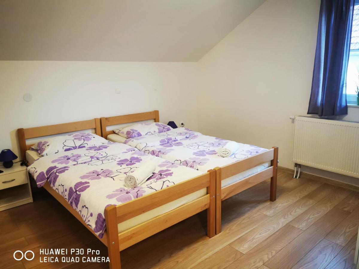 Vila Julija - Apartment & Rooms オトチャッツ エクステリア 写真
