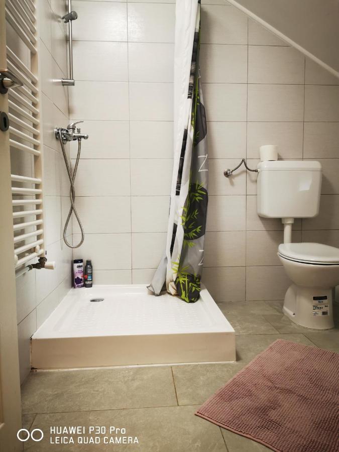 Vila Julija - Apartment & Rooms オトチャッツ エクステリア 写真